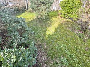 Photo 1- click for photo gallery